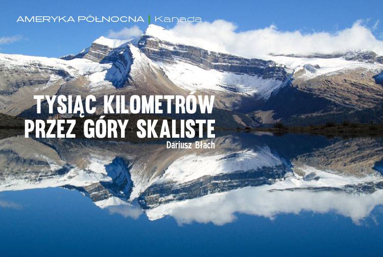 Losowy darmowy artykuł